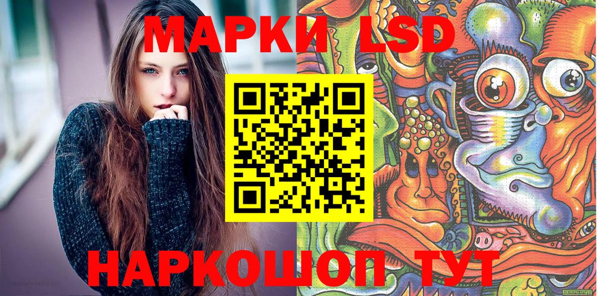 Наркотические марки 1500мкг  Марки N-bome  Вход с VPN  Лесной  что такое наркотик  Наркотические марки 1500мкг 