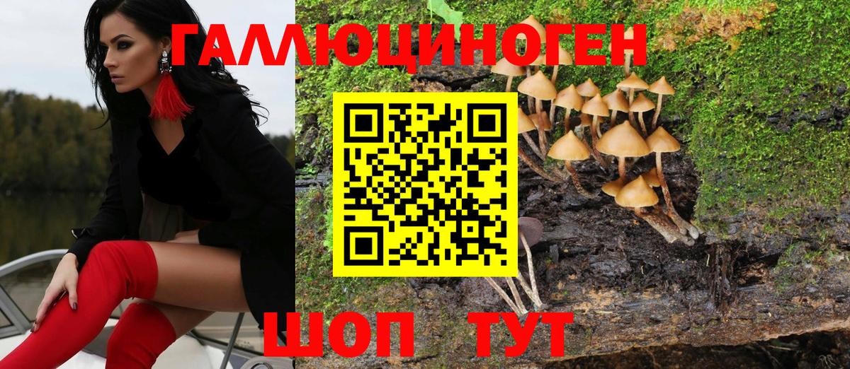 Галлюциногенные грибы Psilocybine cubensis Лесной