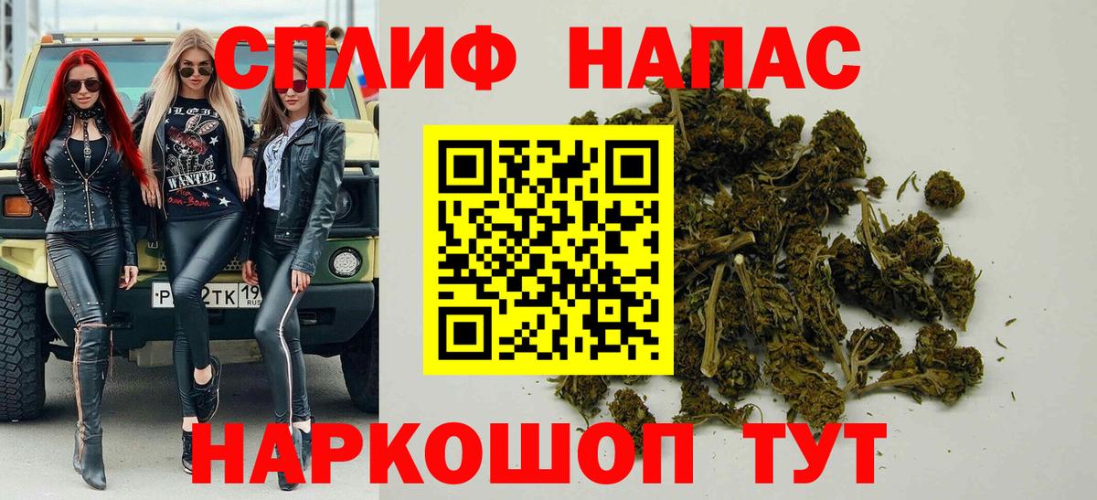Бошки Шишки планчик Лесной